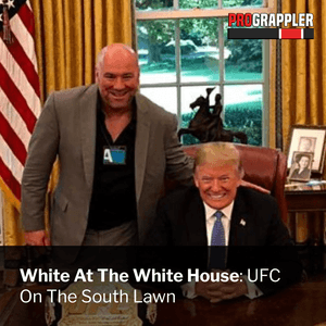Dana White posing with Donald Trump in the Oval Office